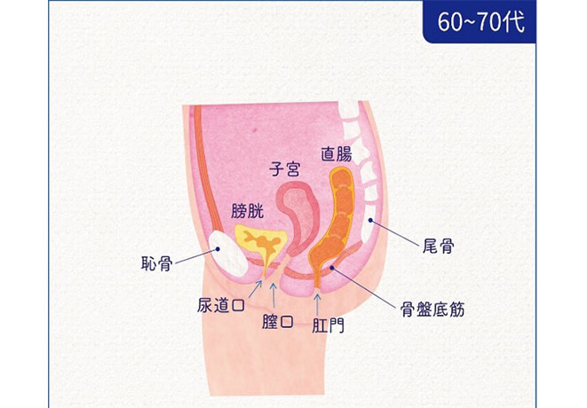 骨盤底筋群